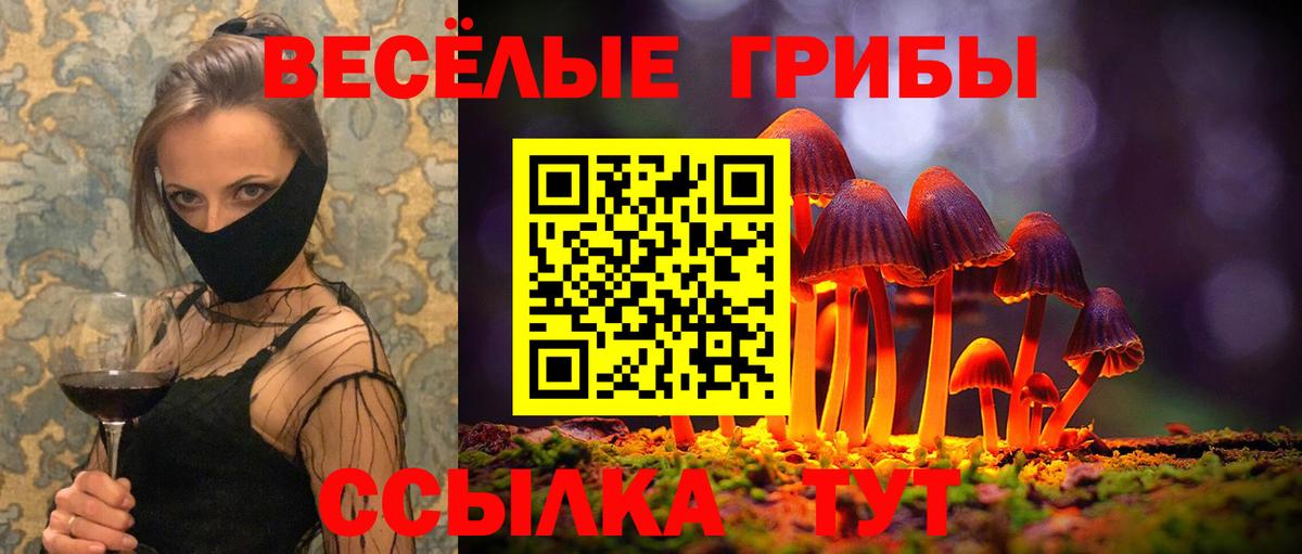 Галлюциногенные грибы Cubensis Чапаевск