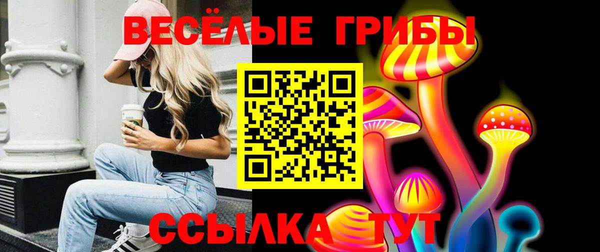 Чапаевск  Галлюциногенные грибы прущие грибы  Вход с VPN 
